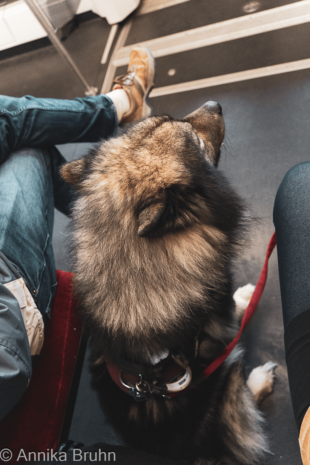 Eine Bahnfahrt mit Q!